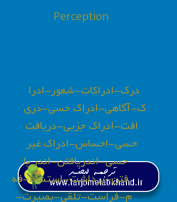Perception به فارسی